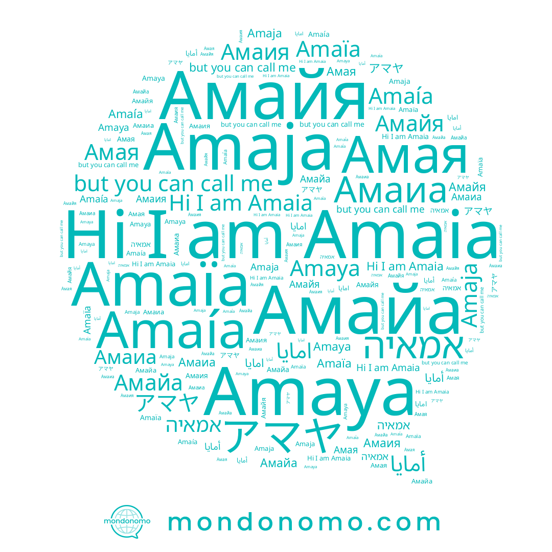 name امايا, name アマヤ, name Amaía, name Амайа, name أمايا, name Амайя, name Амая, name Амаия, name Amaia, name Amaïa, name Amaja, name Amaya, name Амаиа