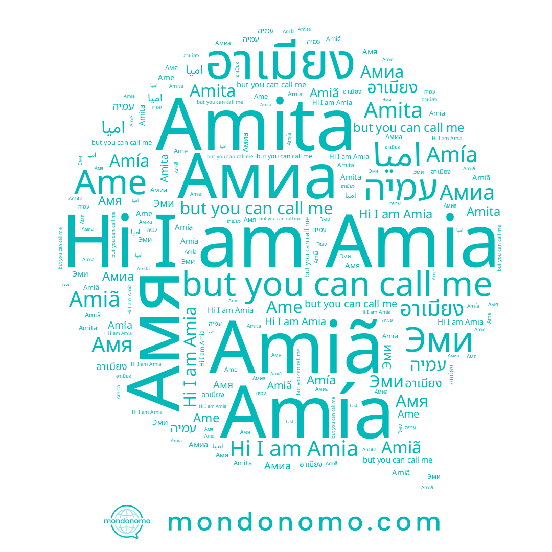 name עמיה, name Amia, name Amía, name Ame, name Amiã, name Эми, name اميا, name อาเมียง, name Амя, name Amita, name Амиа