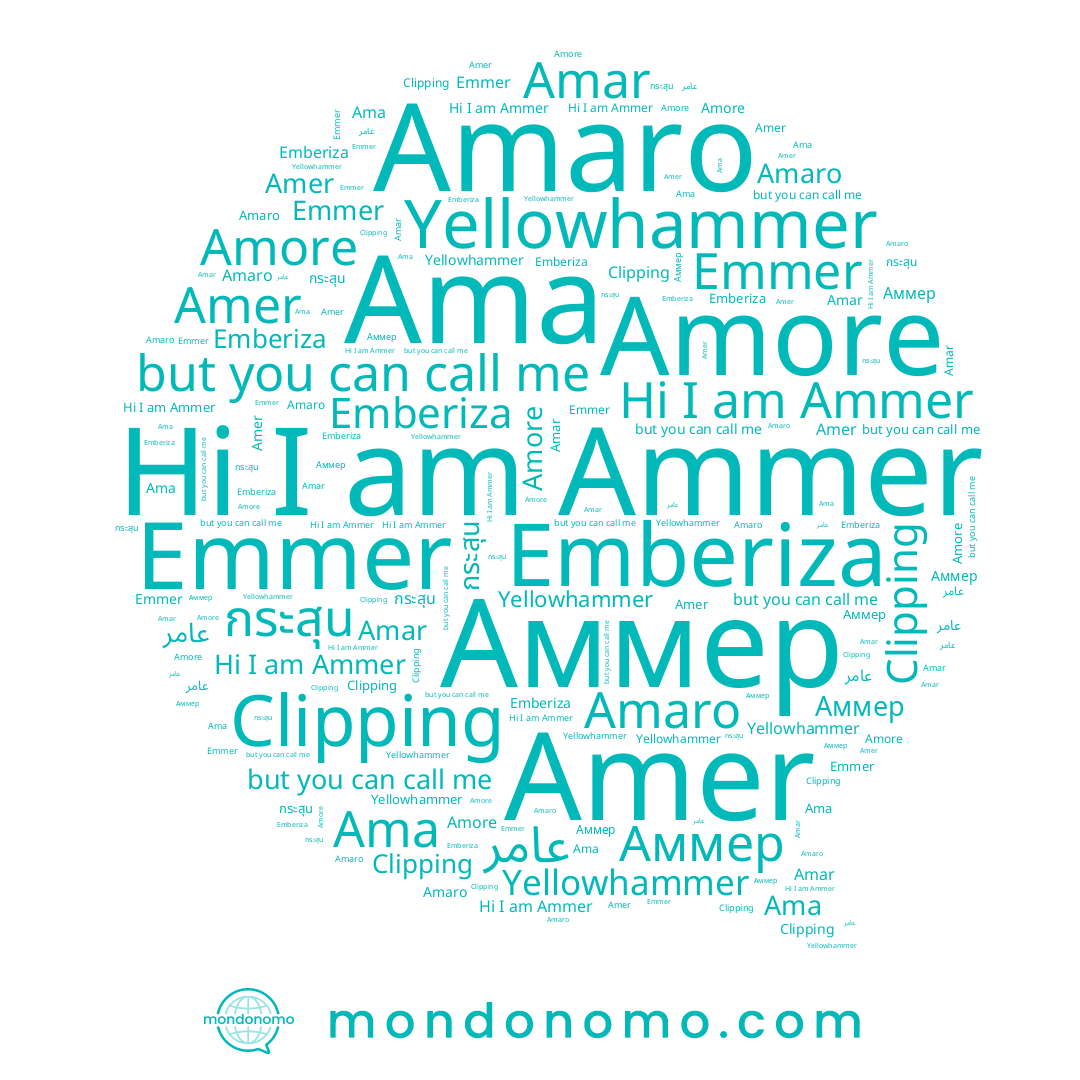 name عامر, name Amer, name Amore, name Amaro, name Аммер, name Ama, name Emmer, name Ammer, name Amar, name กระสุน