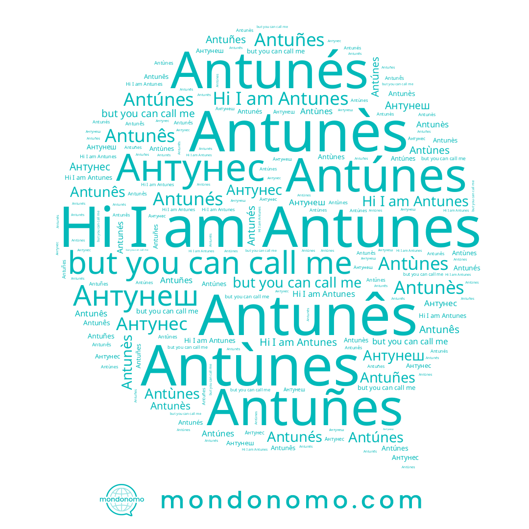 name Antunés, name Antunês, name Antúnes, name Antunès, name Антунес, name Antunes, name Antùnes, name Антунеш, name Antuñes