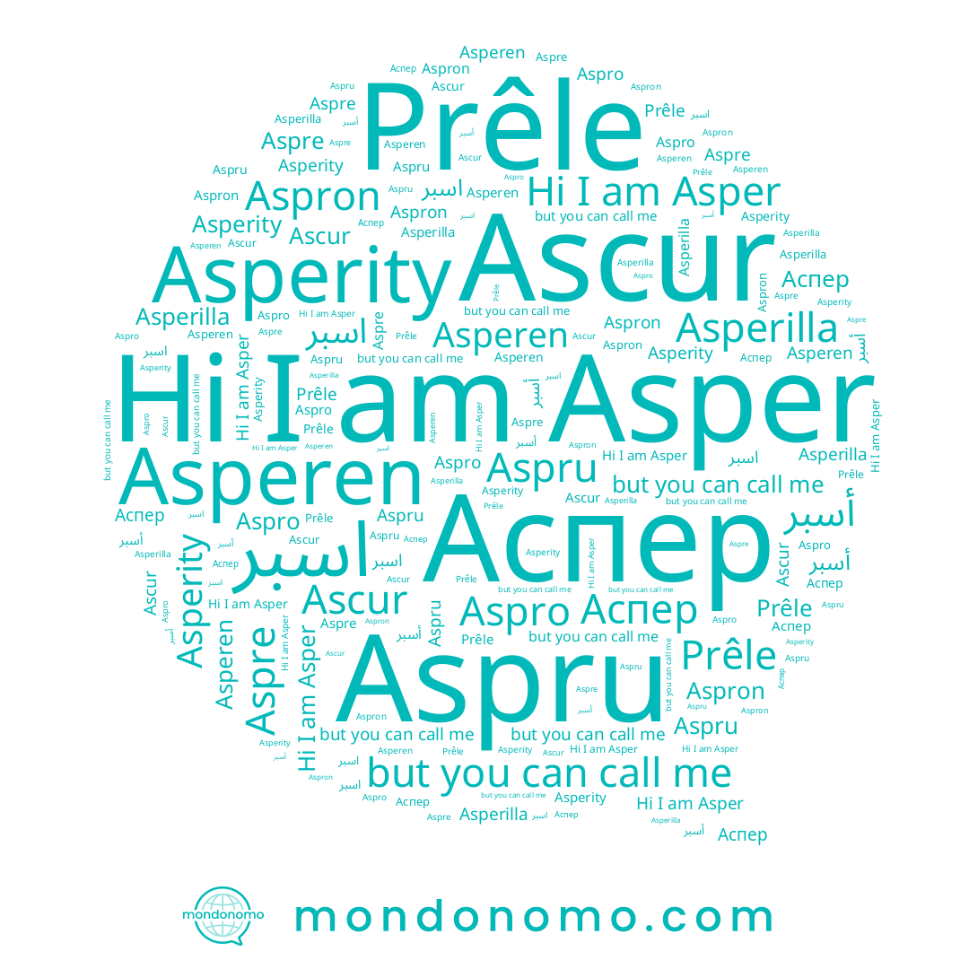 name Aspru, name Asperen, name Prêle, name Asperilla, name Asper, name Ascur, name Аспер, name أسبر, name Aspron, name Aspre, name اسبر, name Asperity