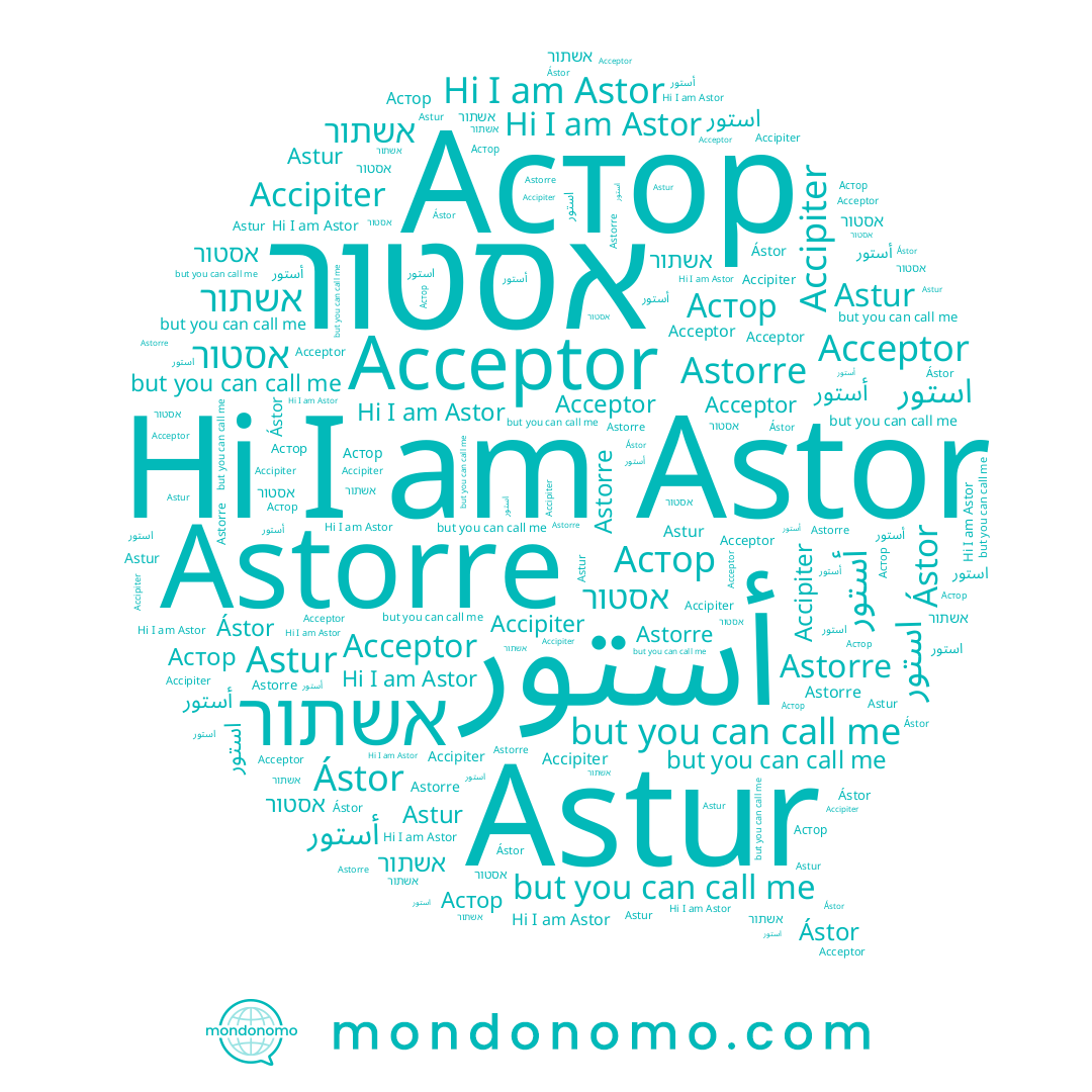 name Astor, name אשתור, name Astur, name Астор, name Accipiter, name אסטור, name Astorre, name Ástor