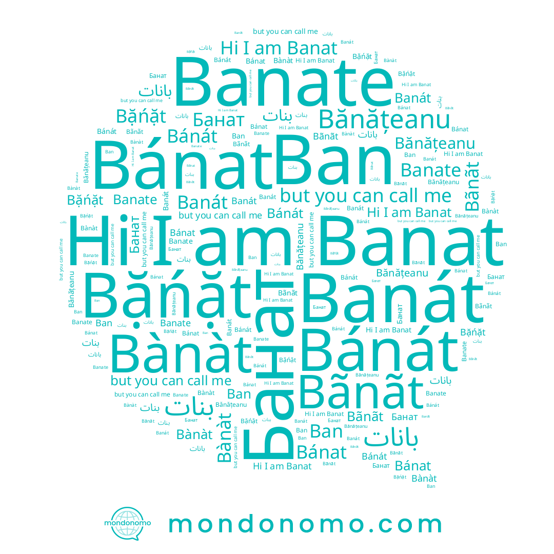 name Banate, name Bànàt, name Bánát, name Bãnãt, name بانات, name Bănățeanu, name بنات, name Banat, name Bặńặt, name Banát, name Ban, name Bánat, name Банат