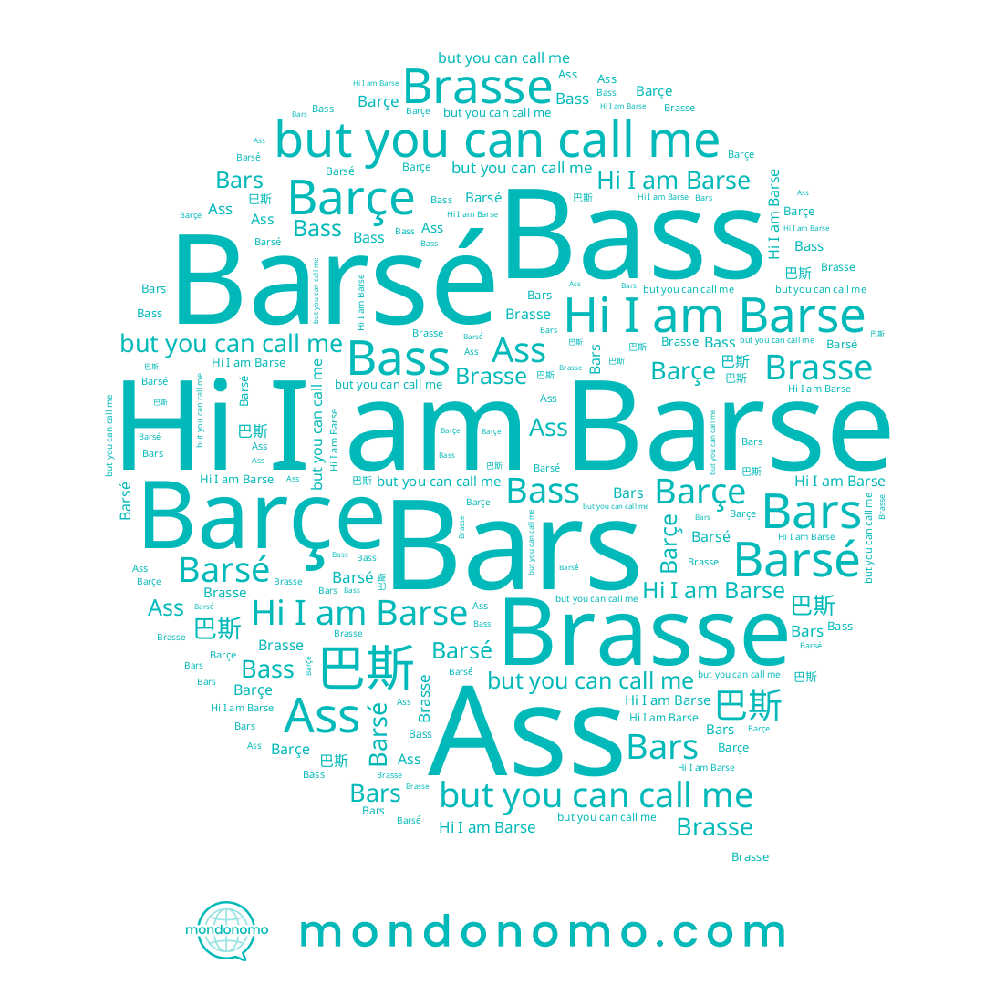 name Brasse, name Barse, name Barçe, name Bars, name Barsé, name Bass, name 巴斯