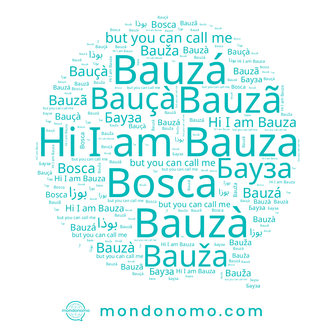 name بوزا, name Bosca, name Bauzá, name Bauzà, name Bauza, name Бауза, name Bauzã, name Bauža, name Bauçà