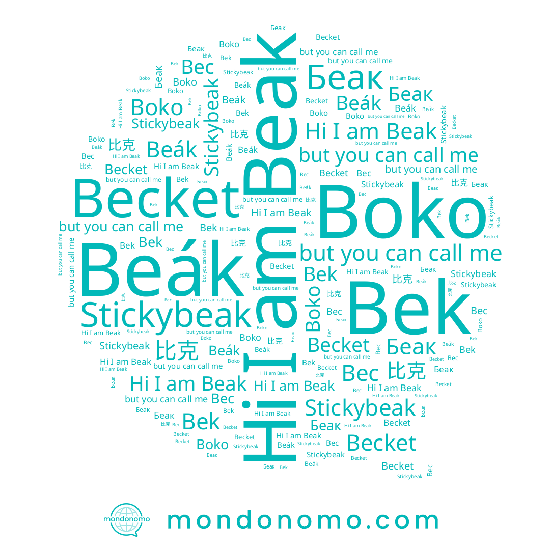 name Stickybeak, name Bek, name Bec, name Beak, name Беак, name 比克, name Boko, name Becket, name Beák