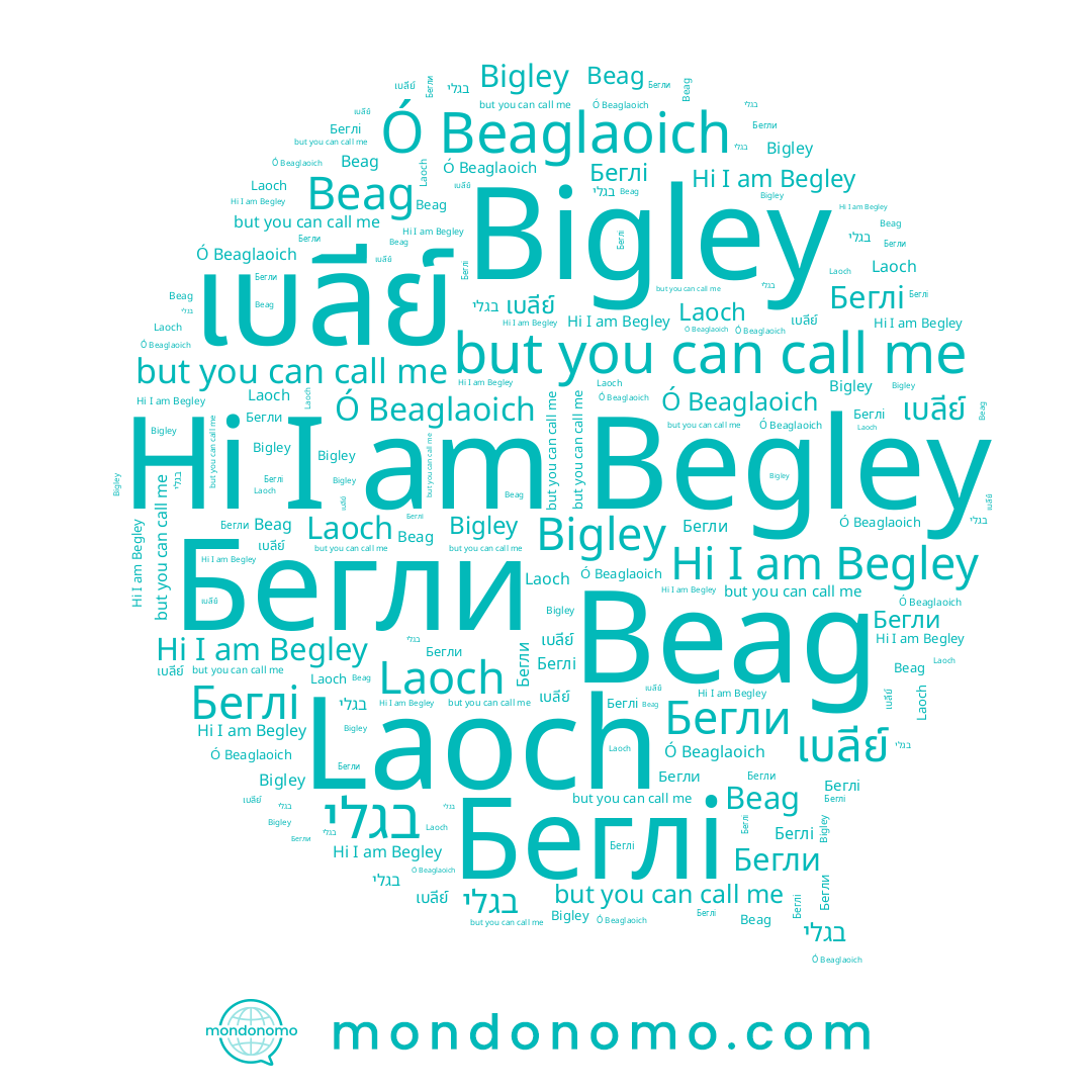 name เบลีย์, name בגלי, name Beag, name Бегли, name Bigley, name Begley