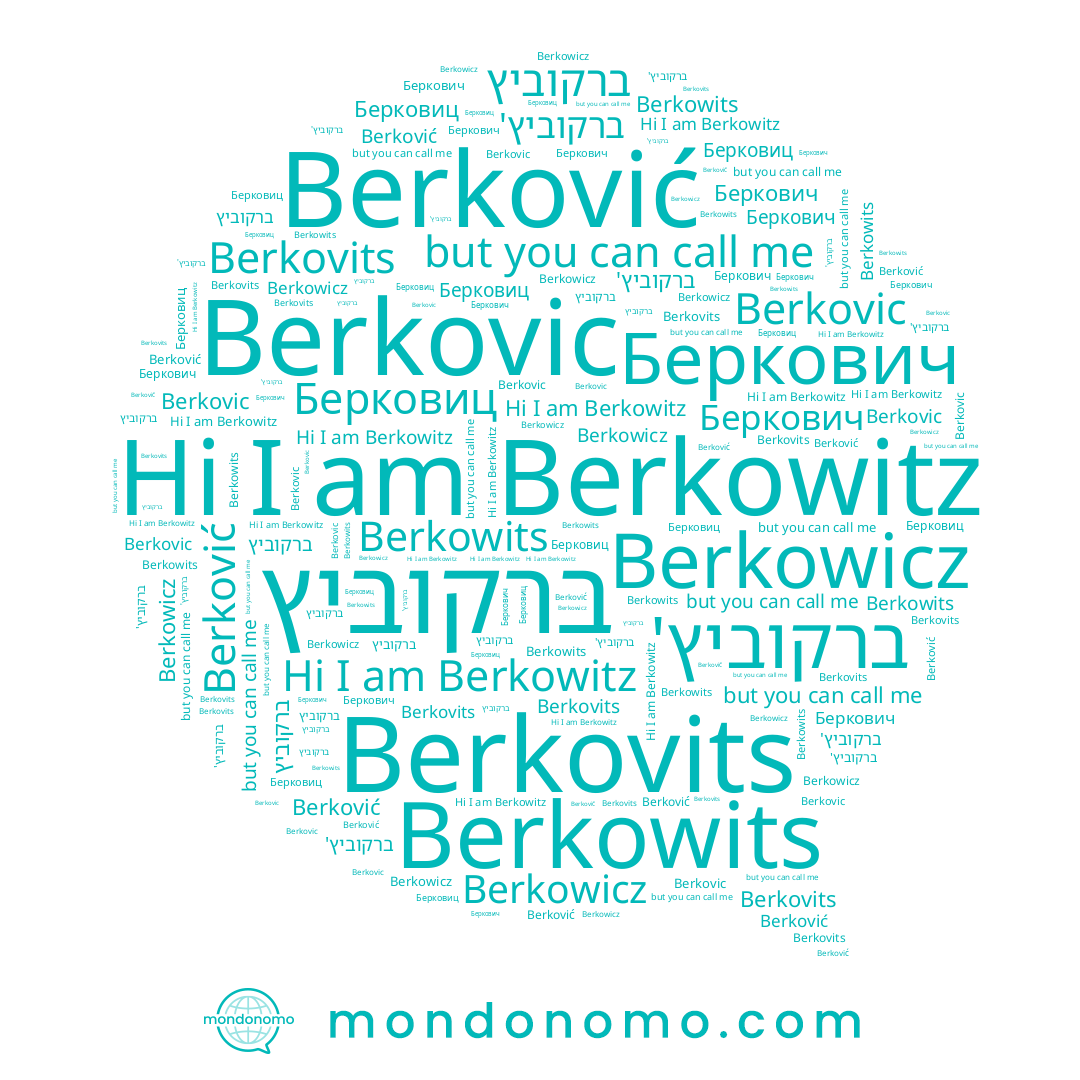 name Беркович, name ברקוביץ, name Берковиц, name Berkovic, name Berkowicz, name ברקוביץ', name Berkovits, name Berković, name Berkowits, name Berkowitz