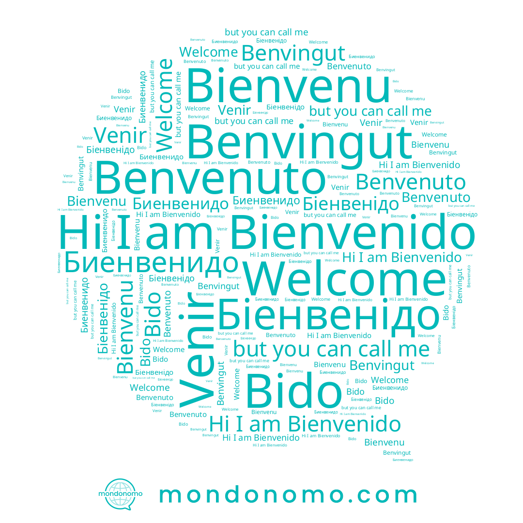 name Біенвенідо, name Bienvenu, name Benvingut, name Bido, name Benvenuto, name Bienvenido, name Welcome, name Биенвенидо, name Venir