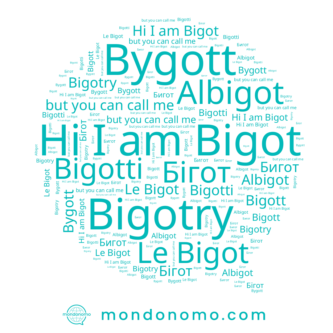 name Bigott, name Bigotry, name Bigot, name Albigot, name Бигот, name Bygott, name Bigotti, name Бігот