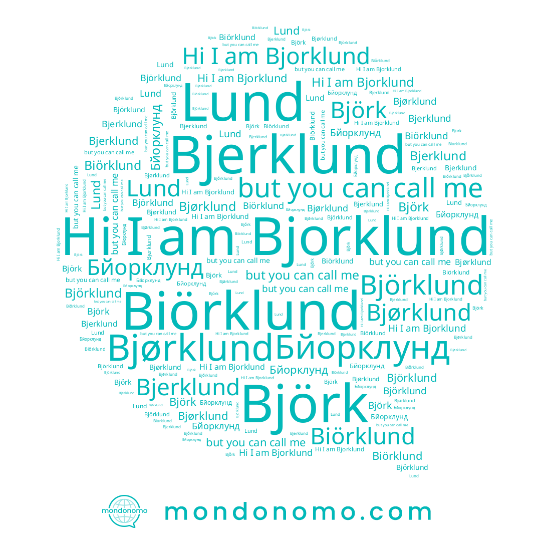 name Bjerklund, name Бйорклунд, name Björklund, name Bjorklund, name Lund, name Björk, name Bjørklund, name Biörklund