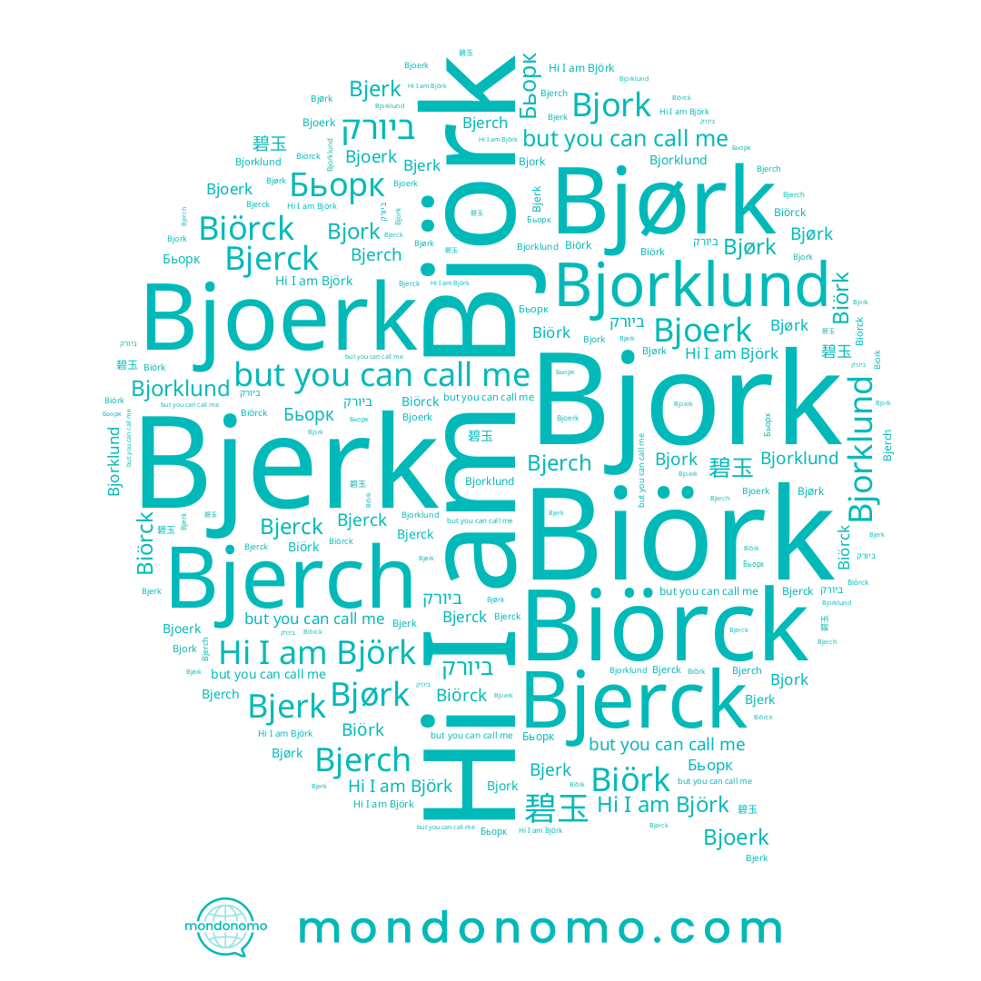 name Bjoerk, name Бьорк, name Bjerk, name Bjorklund, name ביורק, name Biörk, name Biörck, name Bjork, name 碧玉, name Bjerck, name Björk, name Bjørk, name Bjerch