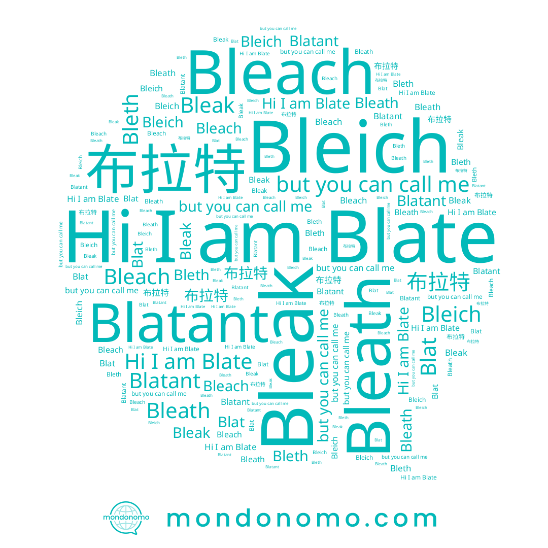 name Bleak, name Blate, name 布拉特, name Bleich, name Blat, name Bleath, name Bleach, name Bleth