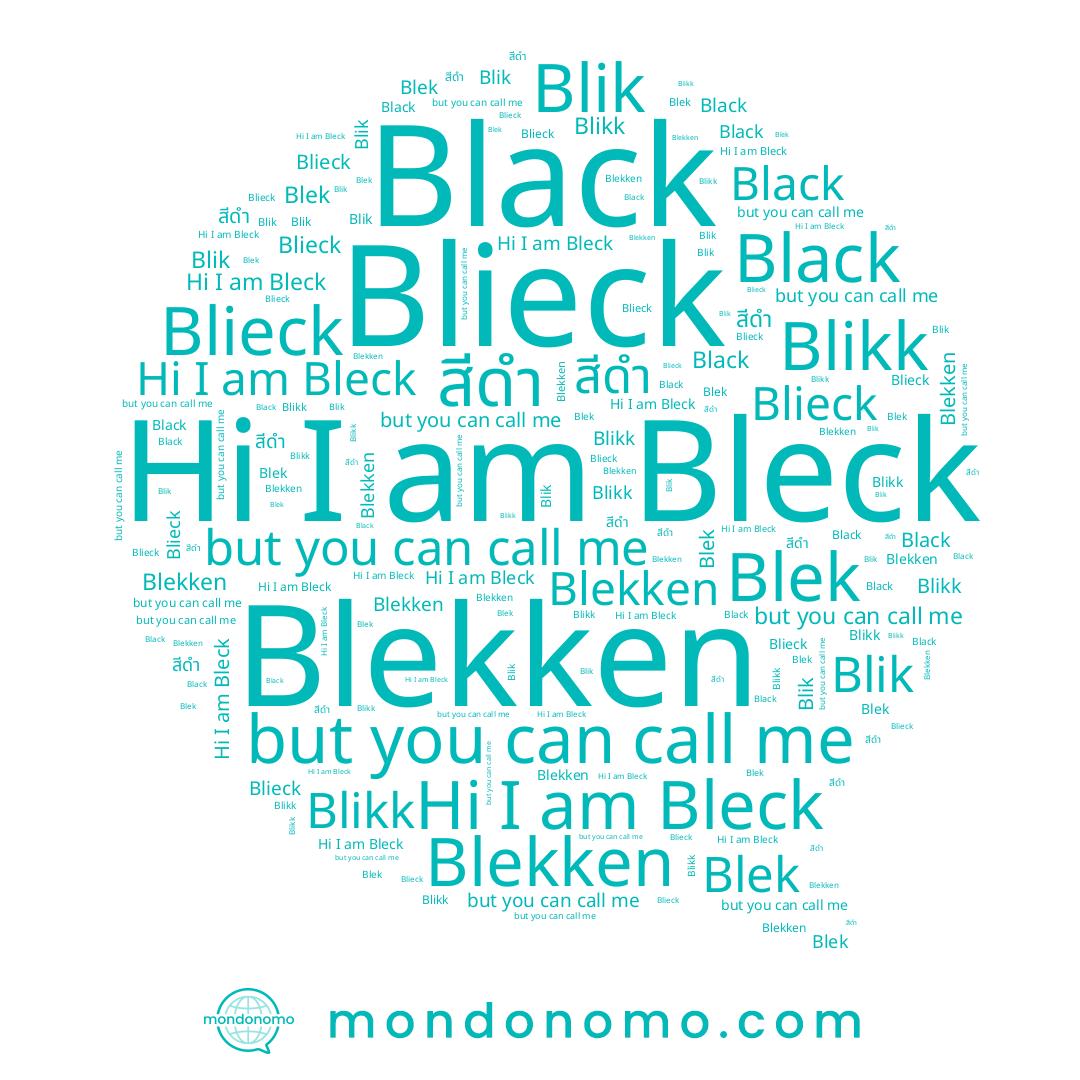 name Blekken, name Bleck, name Blieck, name Black