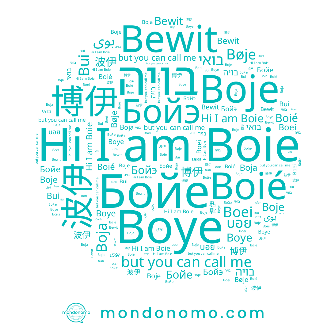 name Бойе, name Boie, name Boja, name בואי, name بوى, name Bøje, name 波伊, name Boje, name Бойэ, name Boye, name Bui, name Boei, name บอย, name 博伊, name בויה, name Boié