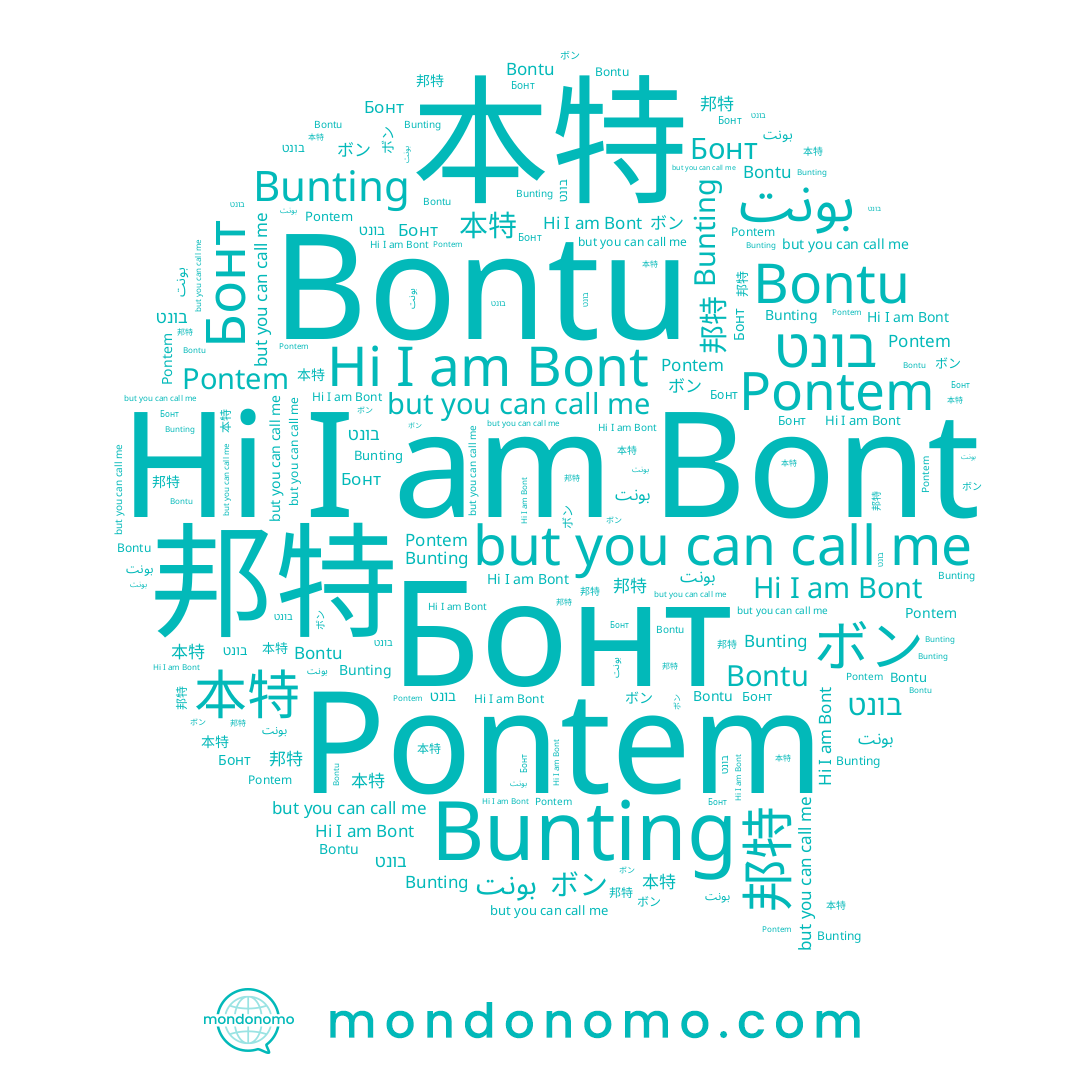 name Bont, name Бонт, name בונט, name 邦特, name 本特, name Bontu, name ボン, name Bunting