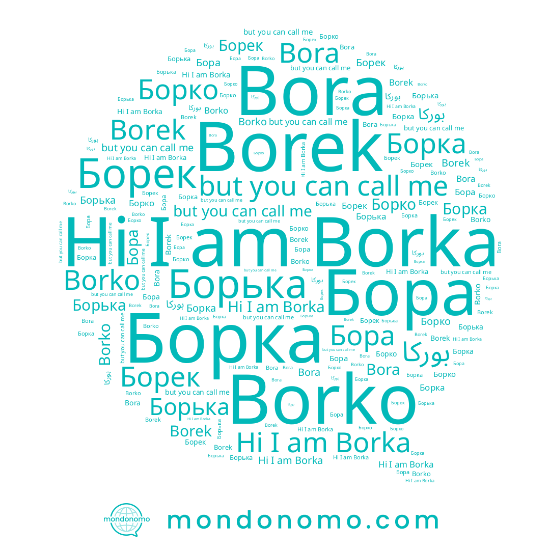 name Борка, name Бора, name Borka, name Борек, name Борька, name Борко, name Bora, name Borko, name Borek