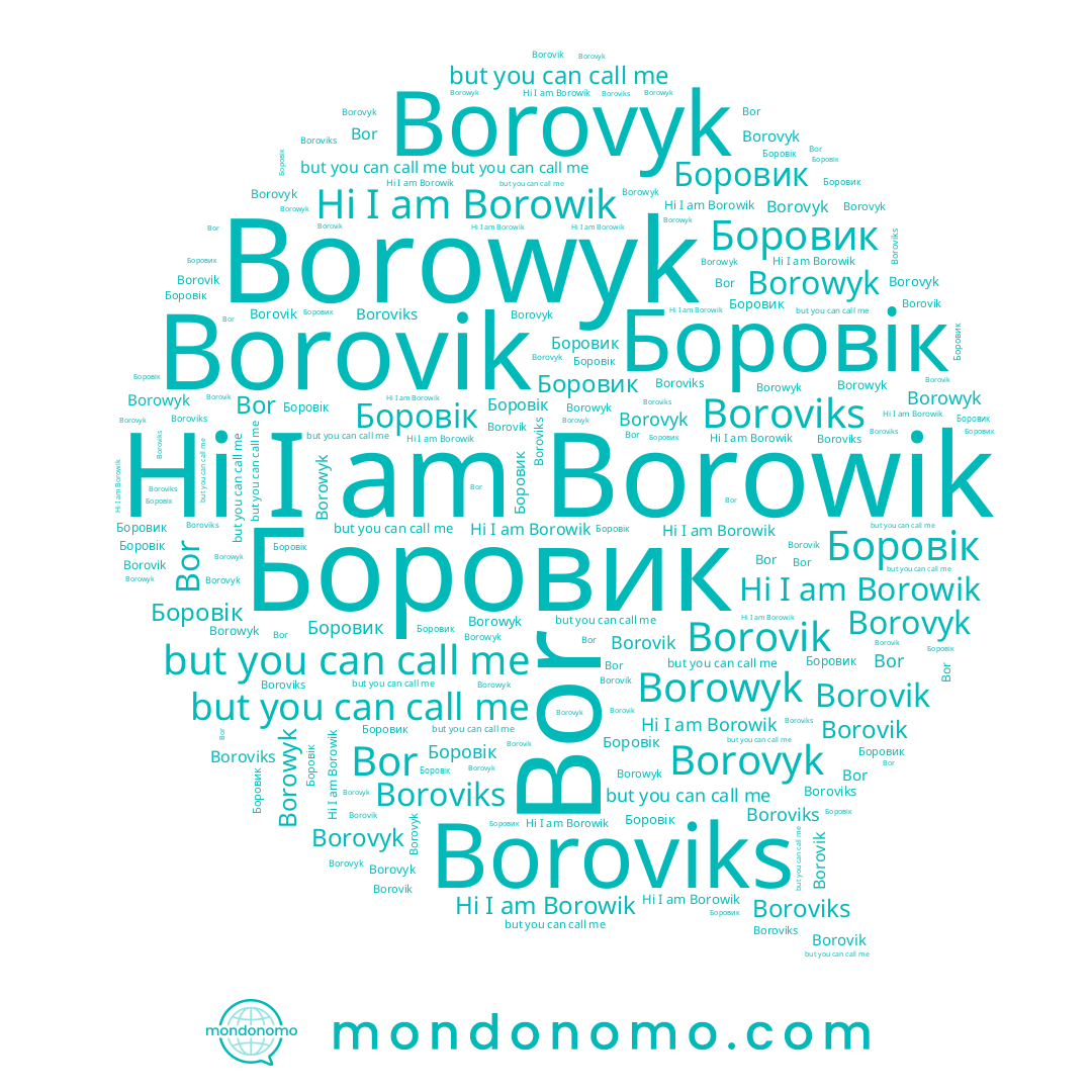 name Borovik, name Borowik, name Boroviks, name Borovyk, name Боровик, name Боровік, name Borowyk, name Bor