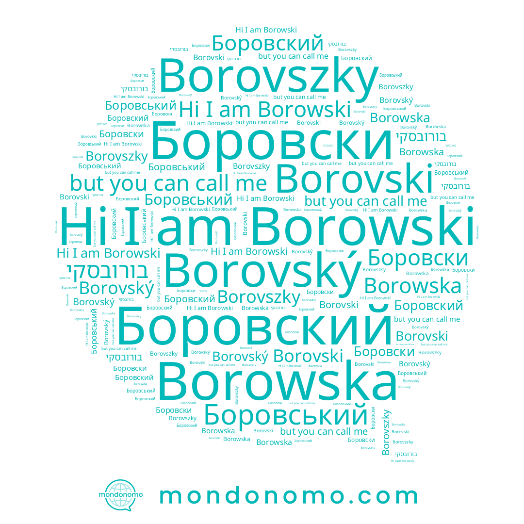name Borovski, name Borowski, name Borovský, name Borowska, name בורובסקי, name Боровский, name Borovszky