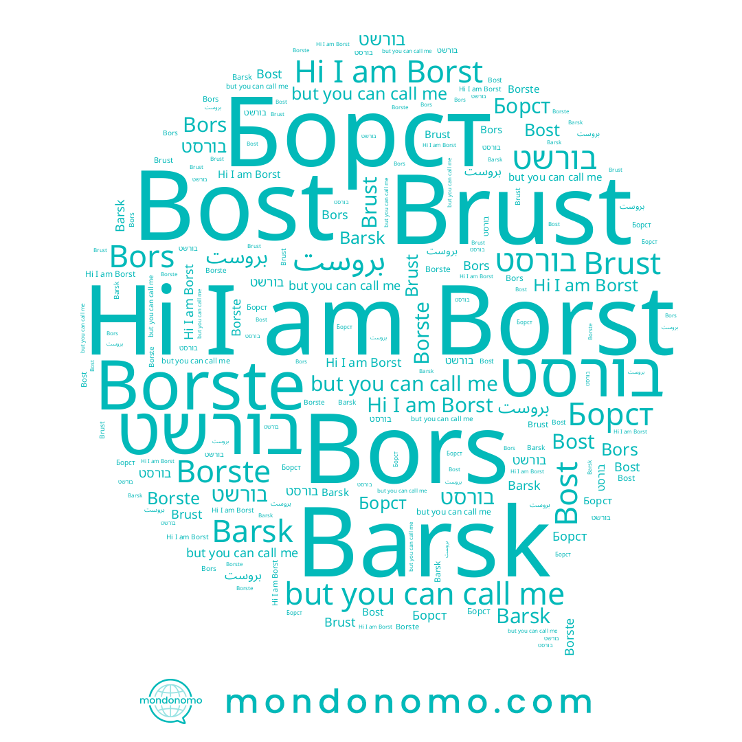 name Brust, name Barsk, name Borst, name Bors, name Борст, name בורסט, name Borste, name Bost, name בורשט