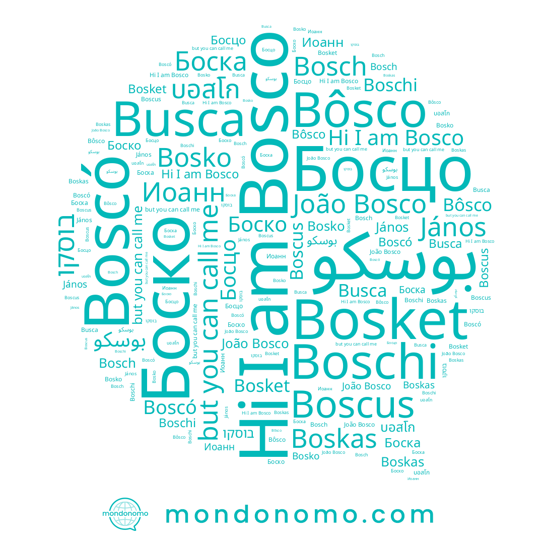 name בוסקו, name Bôsco, name Босцо, name Иоанн, name Bosch, name Bosket, name Bosko, name Bosco, name Busca, name Boscó, name Боска, name Boschi, name János, name Боско, name Boskas, name Boscus