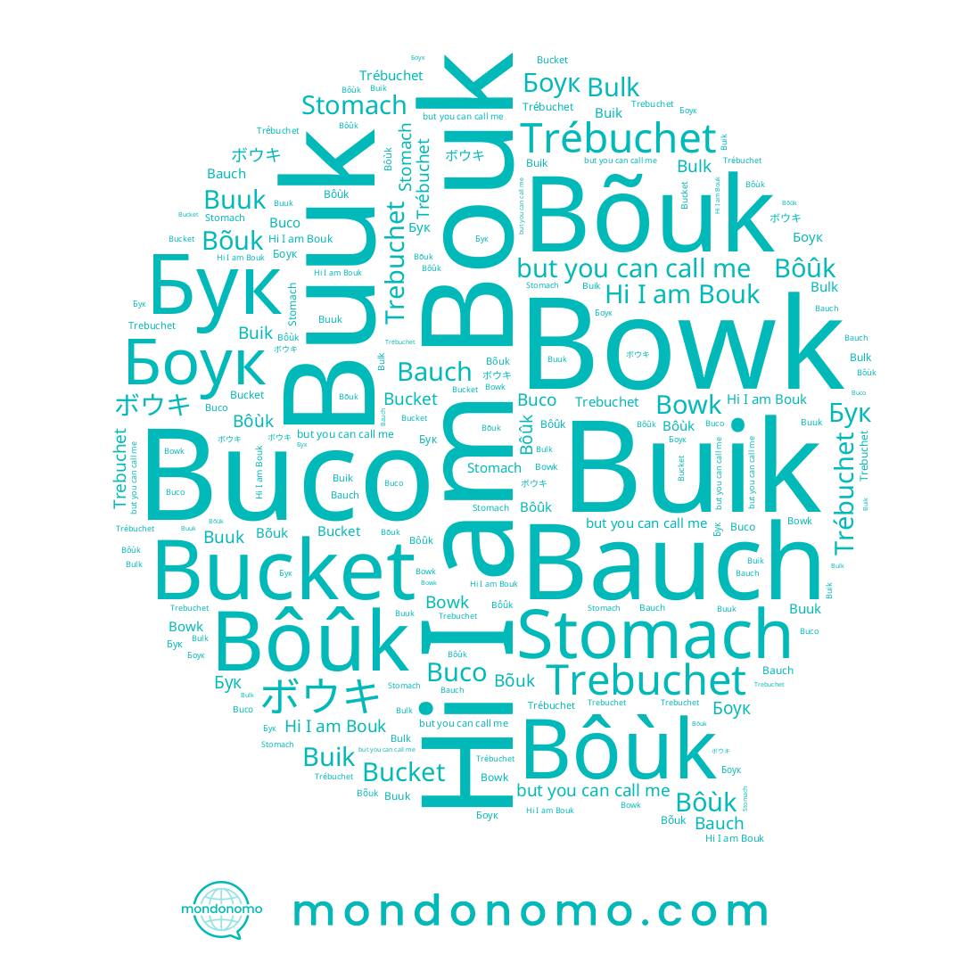 name Bowk, name Bôùk, name Bõuk, name Боук, name Бук, name Trébuchet, name Bauch, name Buuk, name Trebuchet, name Bôûk, name Bouk, name Buik, name ボウキ, name Buco