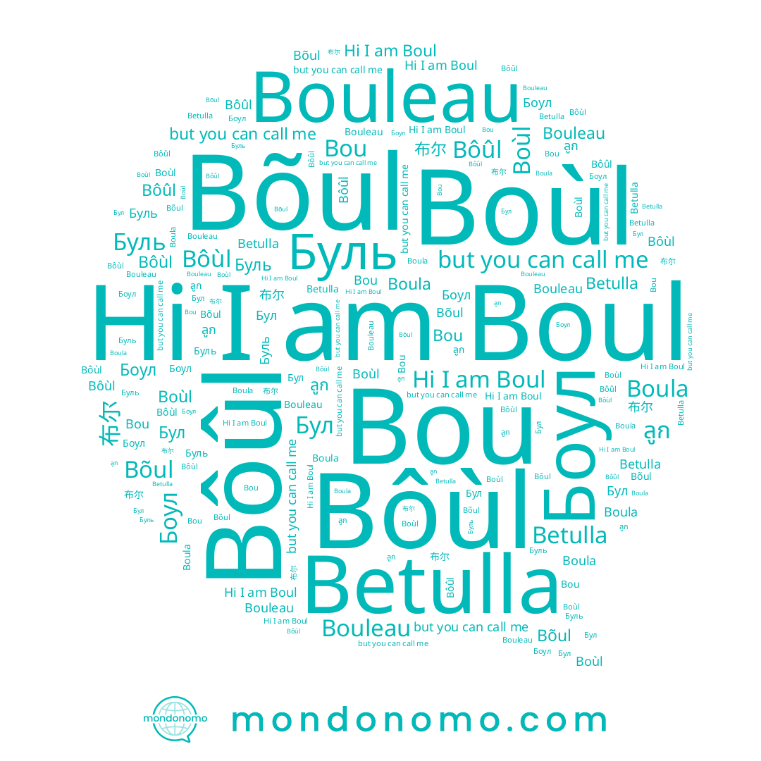 name Bôûl, name 布尔, name Boula, name Буль, name ลูก, name Боул, name Boul, name Boùl, name Bôùl, name Bõul, name Bou, name Bouleau