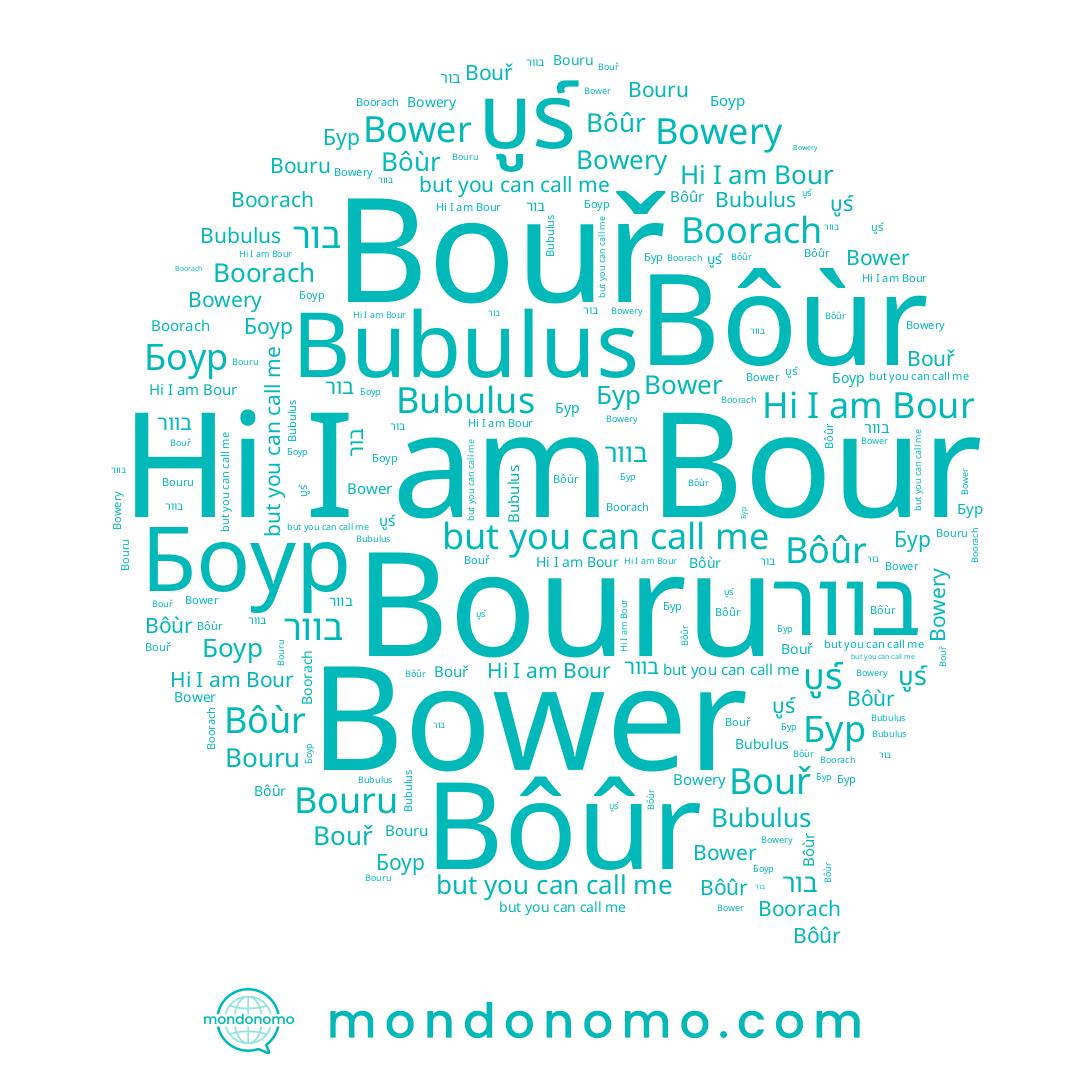 name Bouř, name בוור, name Bower, name Bubulus, name בור, name Boorach, name Bour, name Bôûr, name Бур, name Боур, name Bôùr, name Bowery, name Bouru, name บูร์