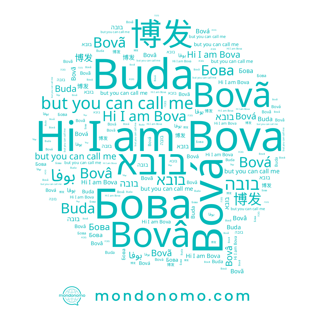 name בובא, name بوفا, name Bovâ, name Bová, name Buda, name בובה, name Бова, name Bovã, name 博发, name Bova