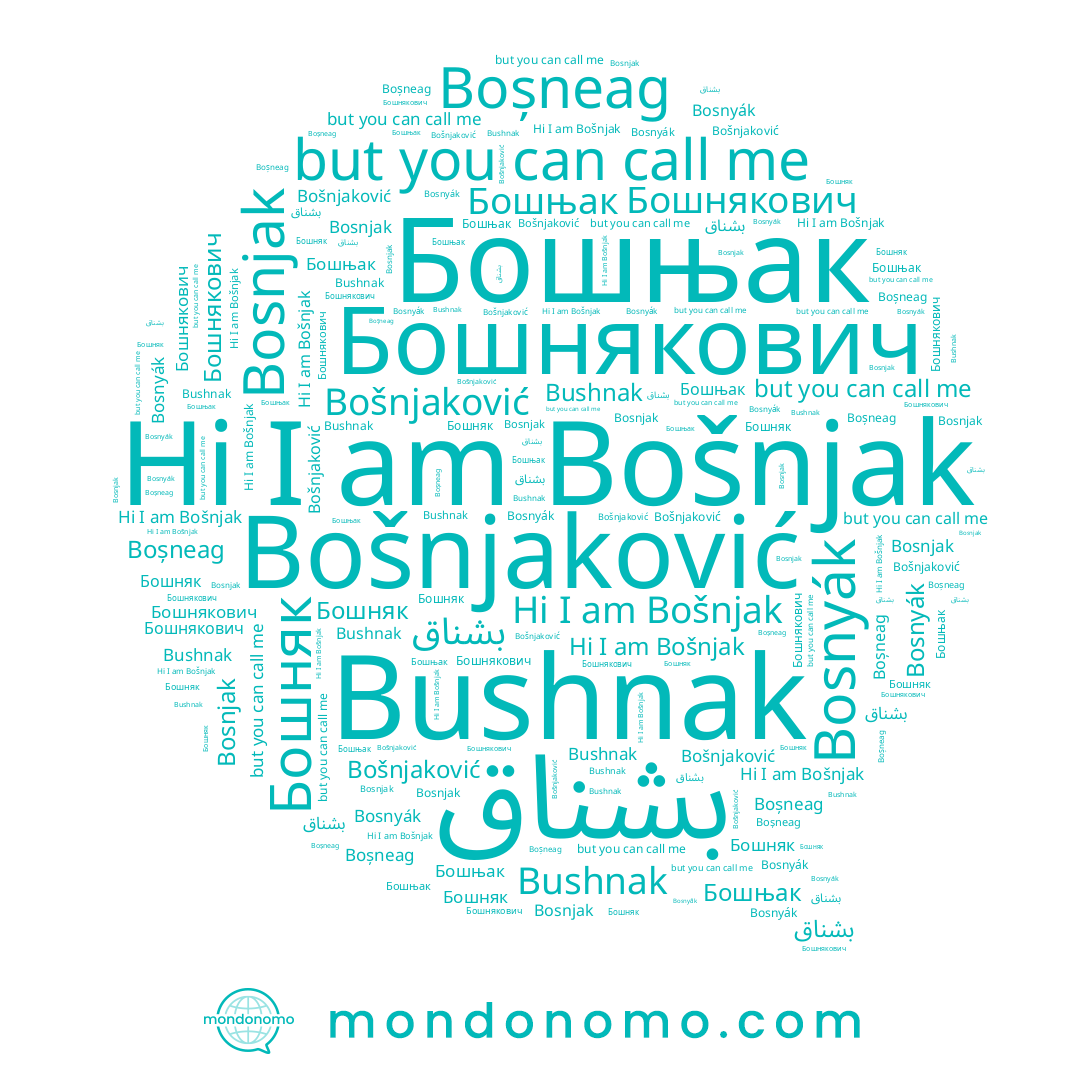 name Bosnjak, name Bošnjak, name Bushnak, name Бошняк, name بشناق, name Bošnjaković, name Бошнякович, name Bosnyák, name Boșneag, name Бошњак