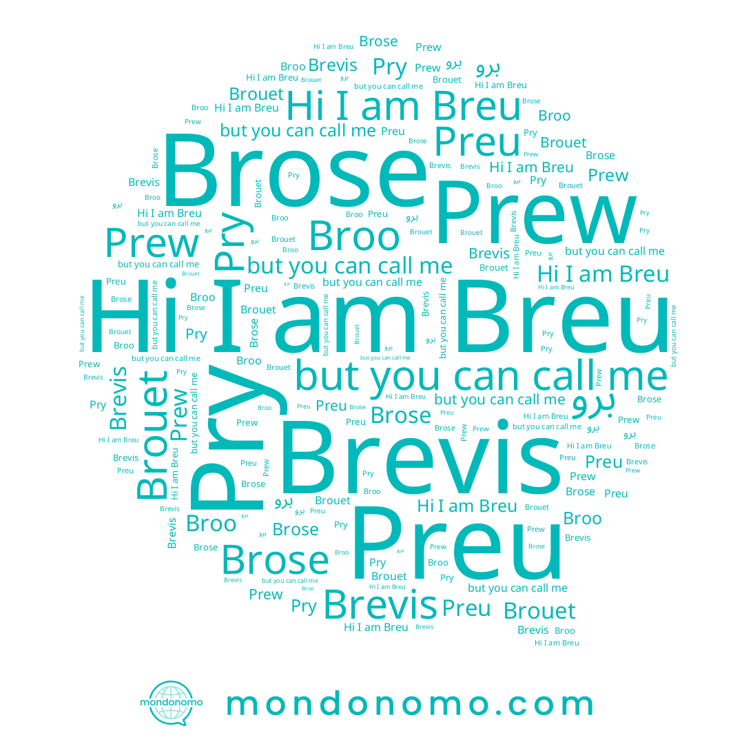 name Brose, name Prew, name Preu, name Brevis, name Pry, name Brouet, name Broo, name Breu