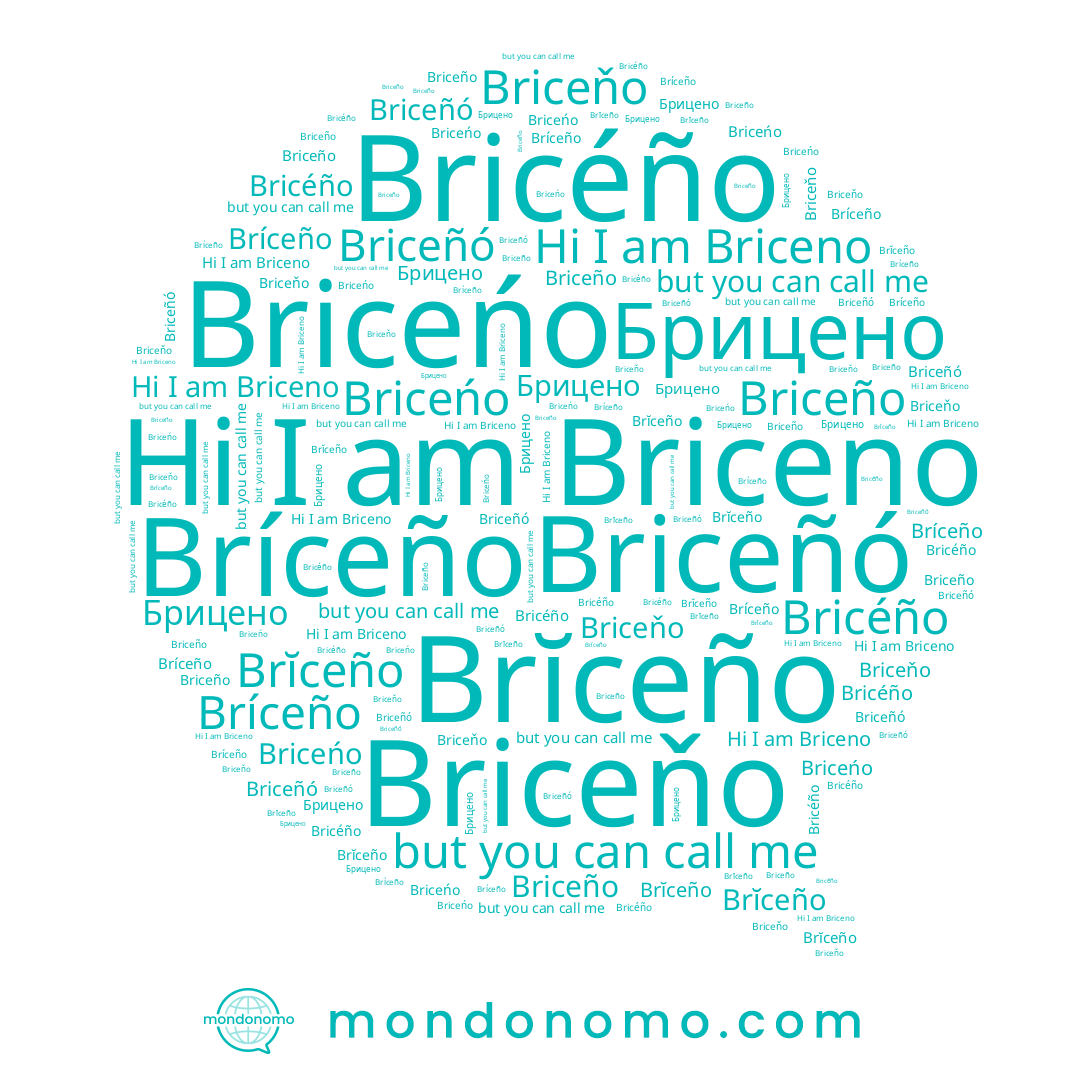 name Брицено, name Briceño, name Bricéño, name Bríceño, name Briceńo, name Brĭceño, name Briceno, name Briceňo, name Briceñó