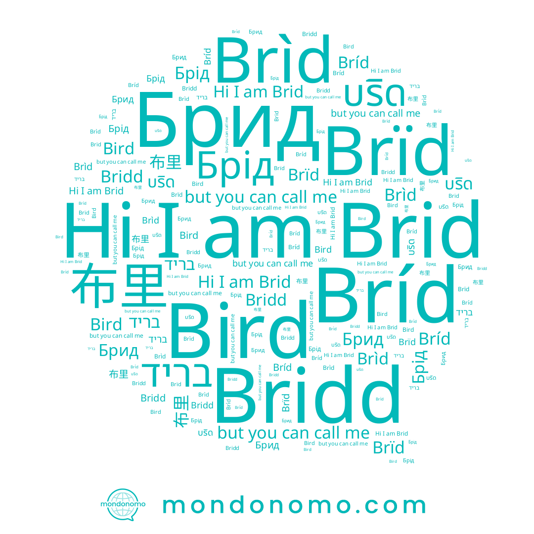 name Bridd, name Bird, name Brïd, name Brid, name บริด, name 布里, name Bríd, name Brìd