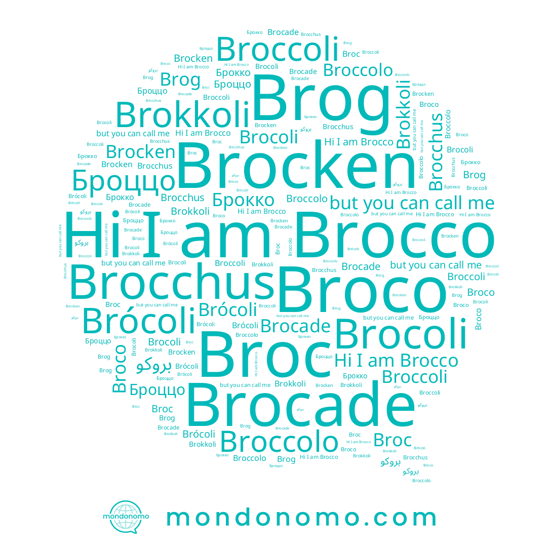 name Brocoli, name Brocken, name Brokkoli, name Brocco, name Броццо, name Broc, name Brocchus, name Broccolo, name Brog, name Broco, name Broccoli, name Brócoli