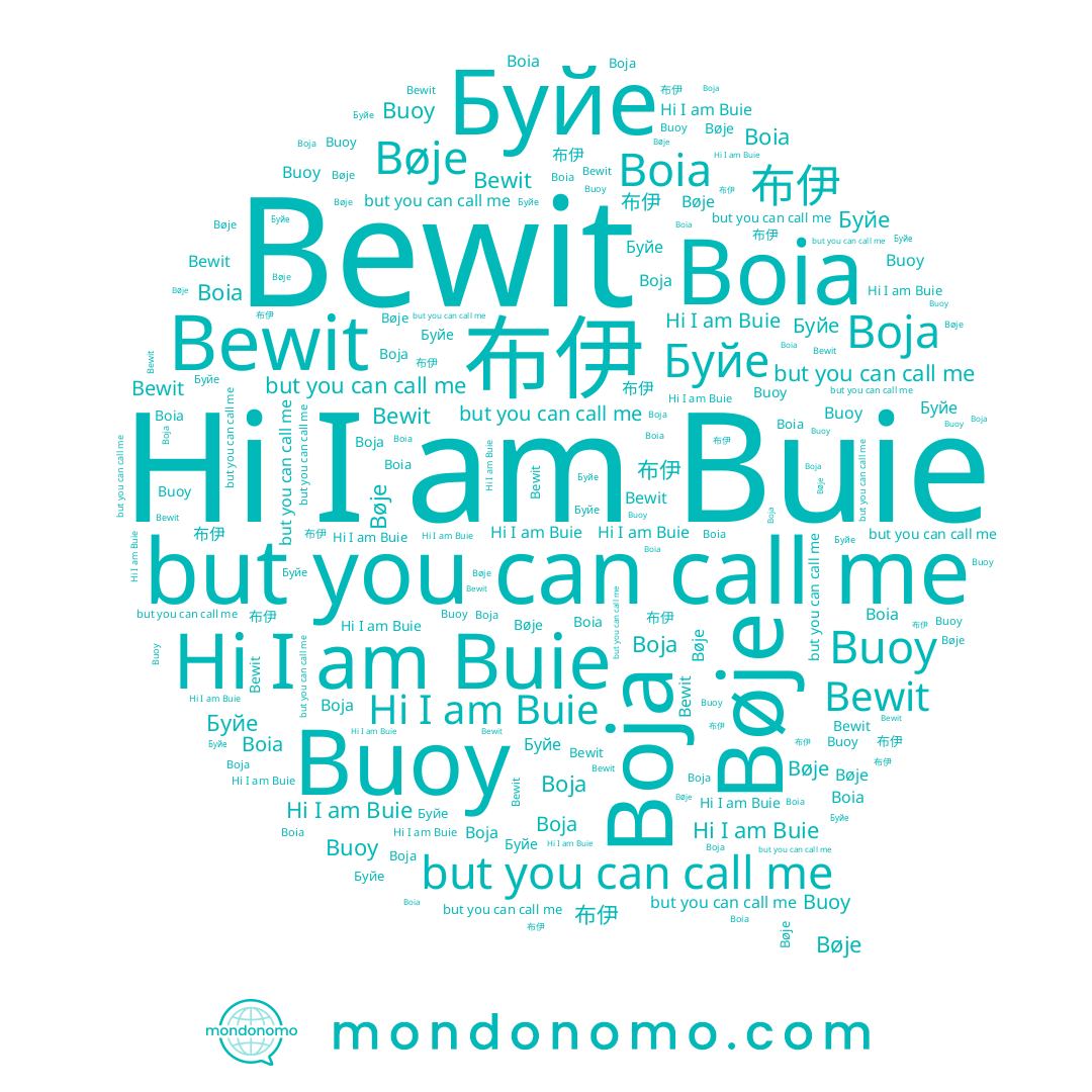 name Буйе, name 布伊, name Boja, name Buie, name Bøje, name Boia, name Buoy
