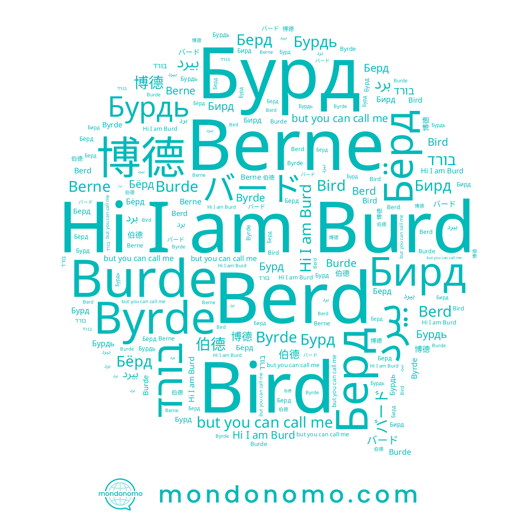name Burd, name Byrde, name Бирд, name Бёрд, name Бурд, name Bird, name バード, name Berd, name Берд, name بيرد, name Berne, name 博德, name Burde, name בורד, name 伯德, name Бурдь