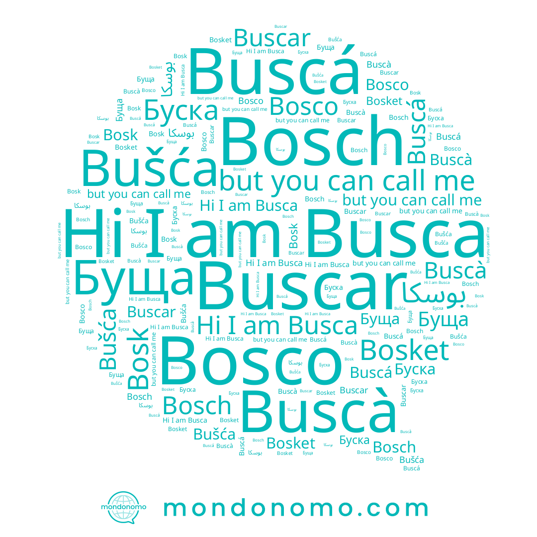 name Буща, name Buscar, name Bosch, name Bosket, name Bosco, name Busca, name Bušća, name بوسكا, name Bosk, name Буска, name Buscà, name Buscá