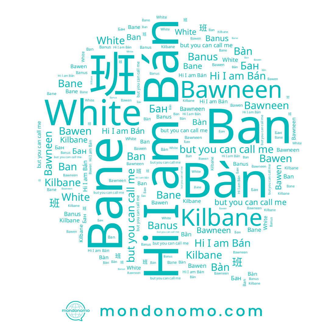 name Banus, name Kilbane, name Bawen, name Bán, name 班, name Ban, name White, name Бан, name Bane, name Bawneen
