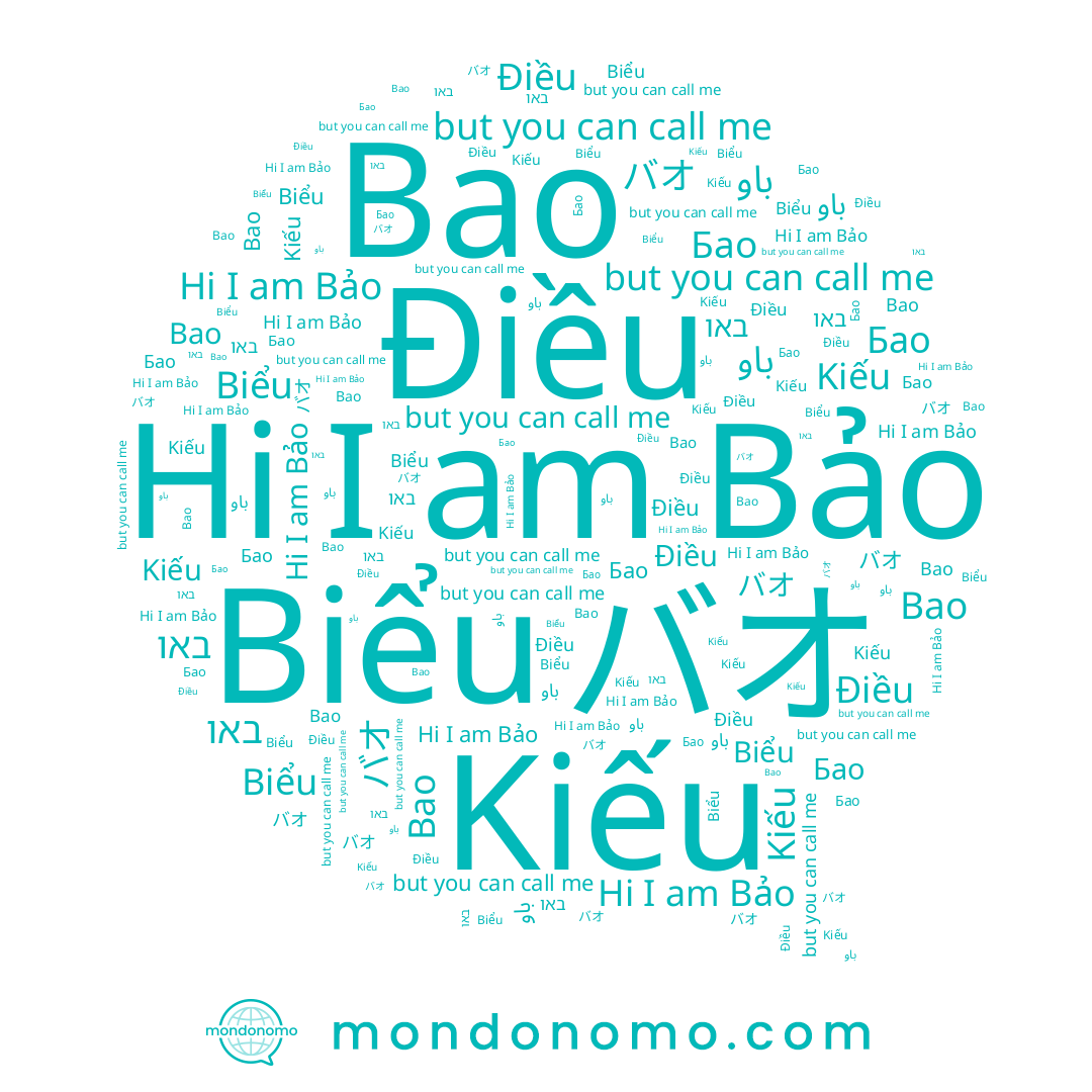 name Bao, name Điều, name באו, name Бао, name باو, name バオ, name Kiếu, name Bảo, name Biểu
