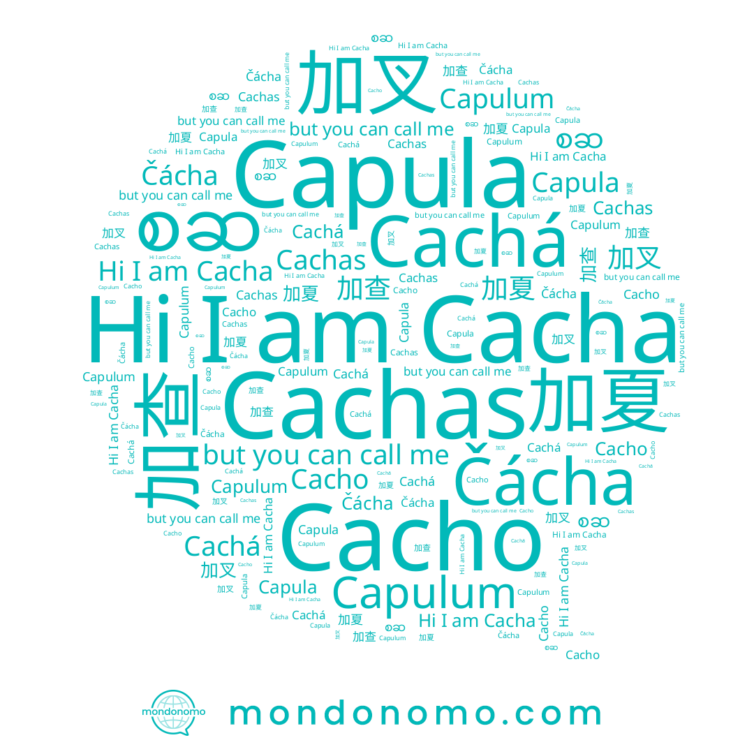 name 加查, name စဆ, name Cachas, name 加夏, name Capula, name Cacho, name Cacha, name Čácha, name 加叉, name Cachá