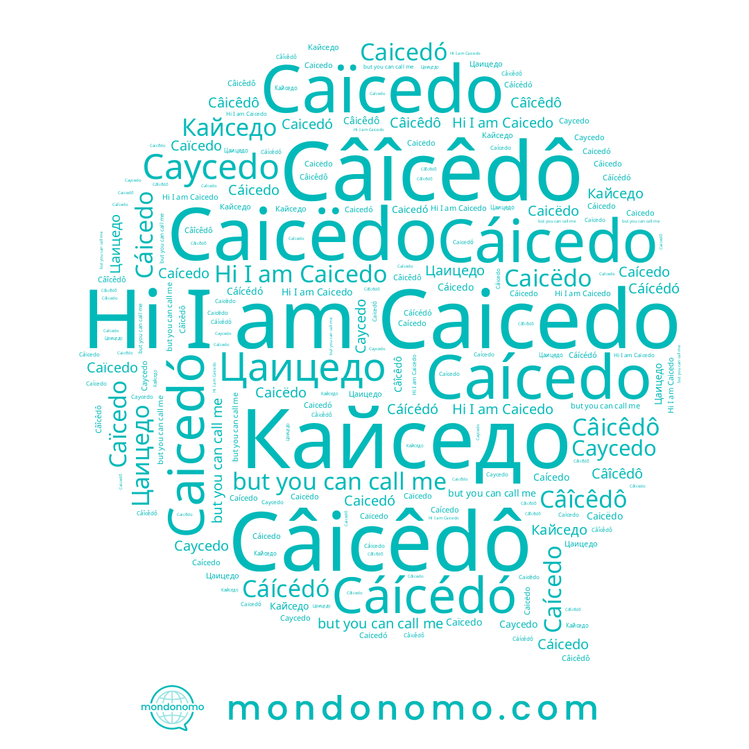 name Кайседо, name Câicêdô, name Caicëdo, name Cáícédó, name Caícedo, name Cáicedo, name Цаицедо, name Caicedo, name Câîcêdô, name Caycedo, name Caicedó, name Caïcedo