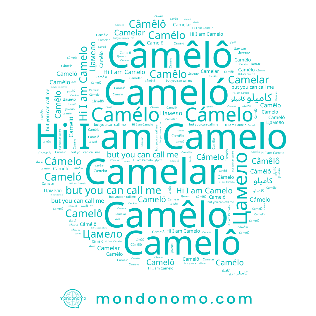 name Camêlo, name Cámelo, name Câmêlô, name Camelo, name Camelar, name Cameló, name Camélo, name Цамело, name Camelô