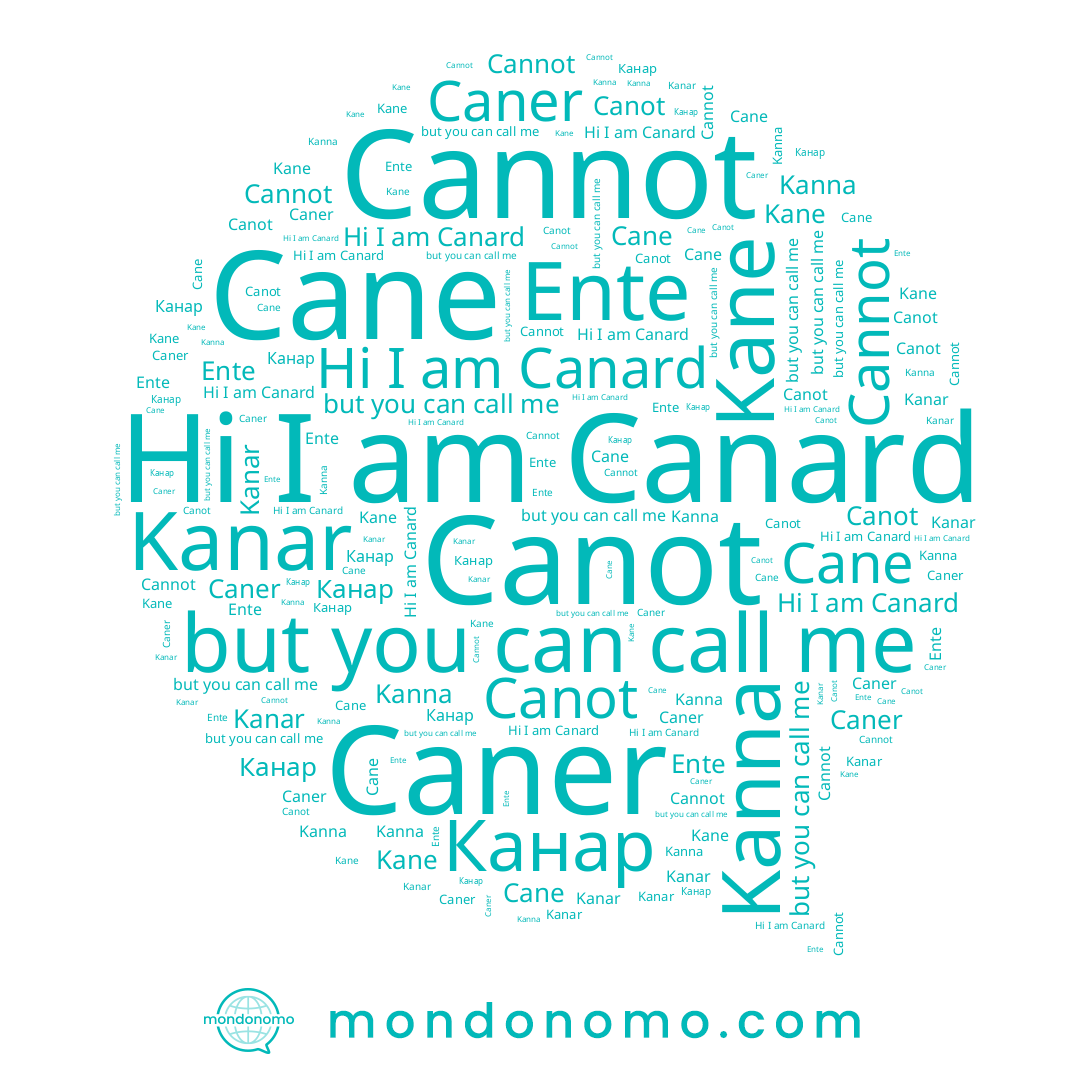 name Cannot, name Canot, name Canard, name Ente, name Канар, name Kanna, name Cane, name Caner, name Kane, name Kanar