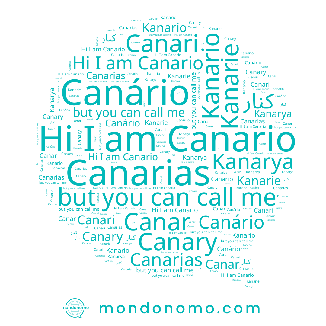 name Kanario, name Canar, name Canário, name Kanarie, name Canari, name Canario, name Kanarya, name Canary, name Canarias