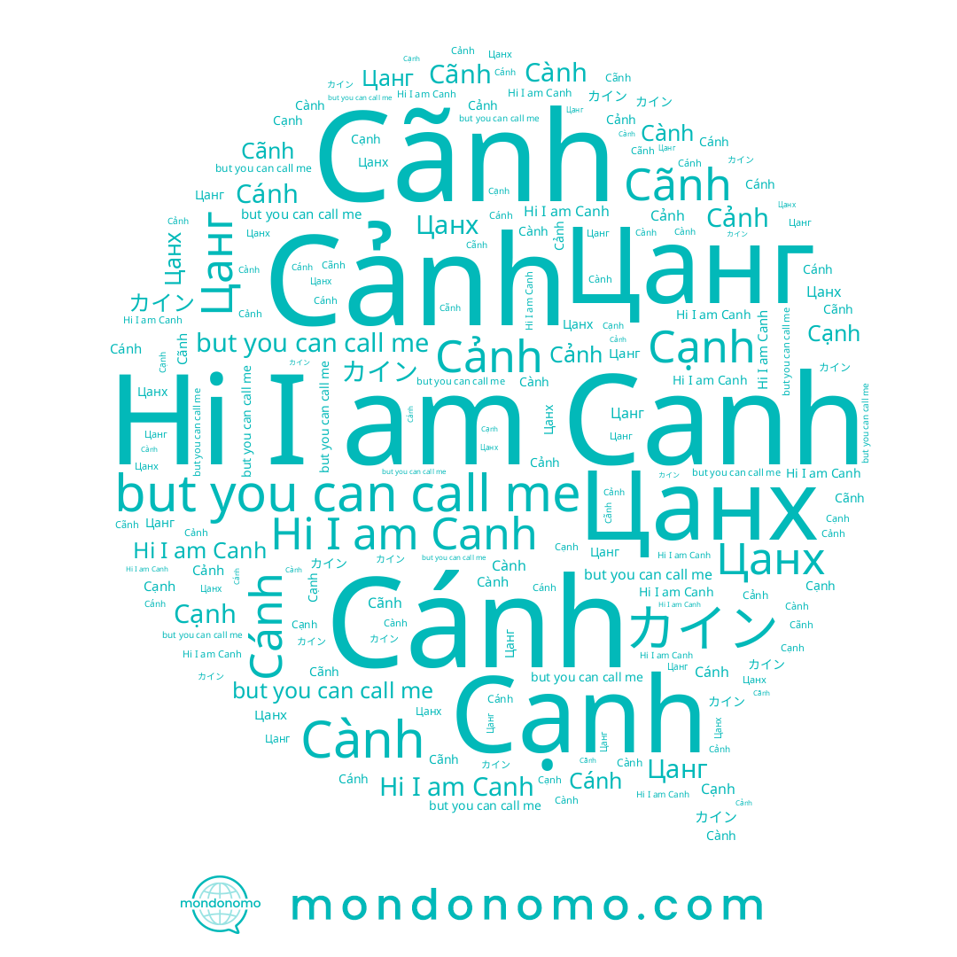 name Cánh, name Canh, name Cạnh, name Цанх, name Цанг, name Cãnh, name Cảnh, name カイン, name Cành