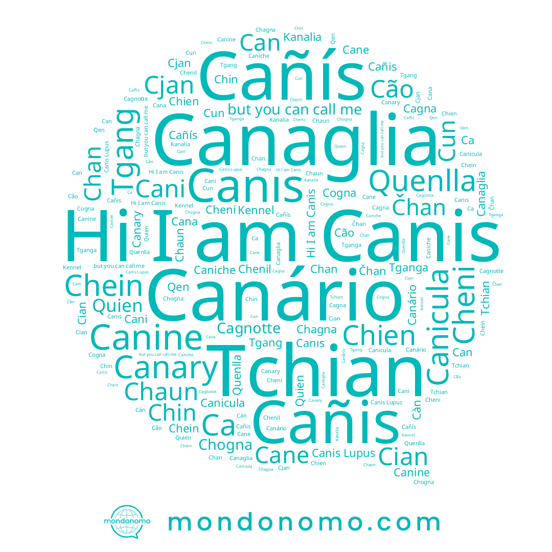 name Cana, name Can, name Canine, name Canicula, name Chagna, name Canis Lupus, name Cañis, name Tganga, name Čhan, name Chaun, name Cun, name Ca, name Chin, name Chien, name Chein, name Chenil, name Càn, name Kanalia, name Cão, name Cani, name Tchian, name Tgang, name Cañís, name Caniche, name Chogna, name Cane, name Canário, name Cian, name Quien, name Canaglia, name Chan, name Kennel, name Cjan, name Qen, name Cheni, name Canıs, name Cagna, name Canary, name Canis