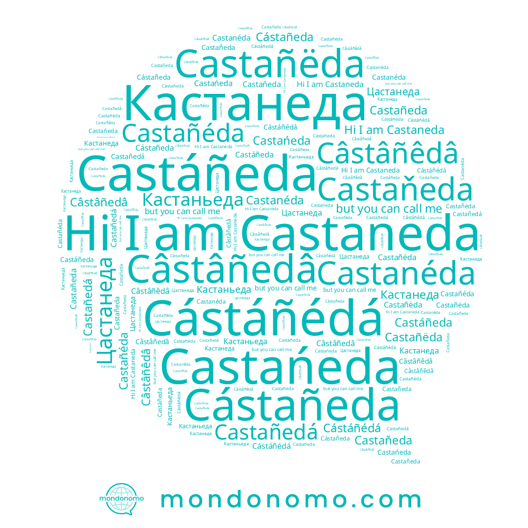 name Castaňeda, name Castanéda, name Кастанеда, name Castañëda, name Castañéda, name Cástáñédá, name Cástañeda, name Câstâñedâ, name Кастаньеда, name Цастанеда, name Castañeda, name Castáñeda, name Castaneda, name Castañedá, name Castańeda, name Câstâñêdâ
