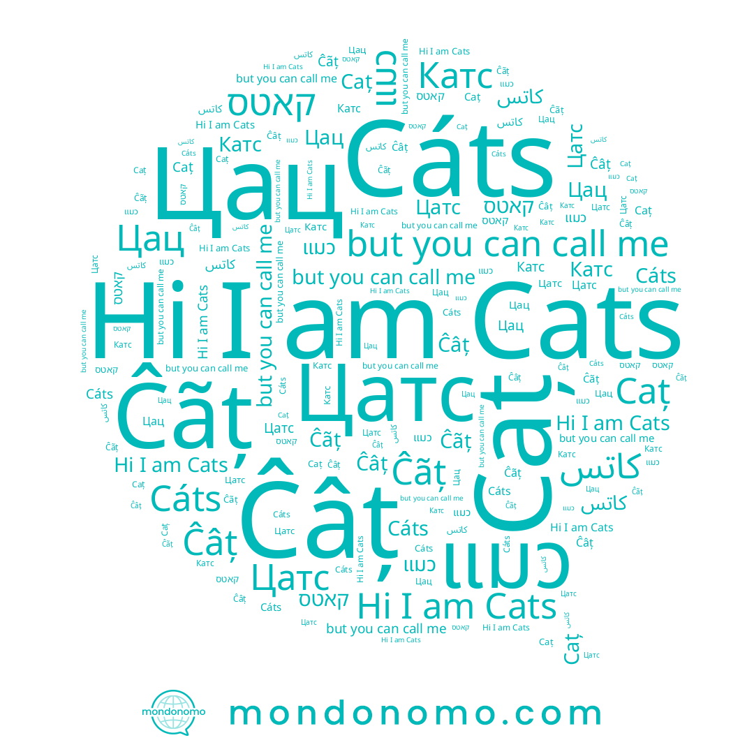 name Caț, name Катс, name كاتس, name Цатс, name קאטס, name Ĉãț, name Cáts, name Cats, name แมว, name Ĉâț, name Цац