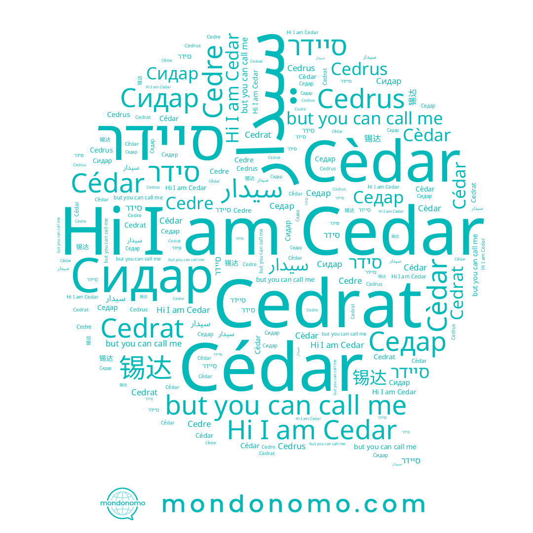 name סידר, name 锡达, name סיידר, name سيدار, name Cédar, name Cedre, name Cedar, name Cèdar, name Седар