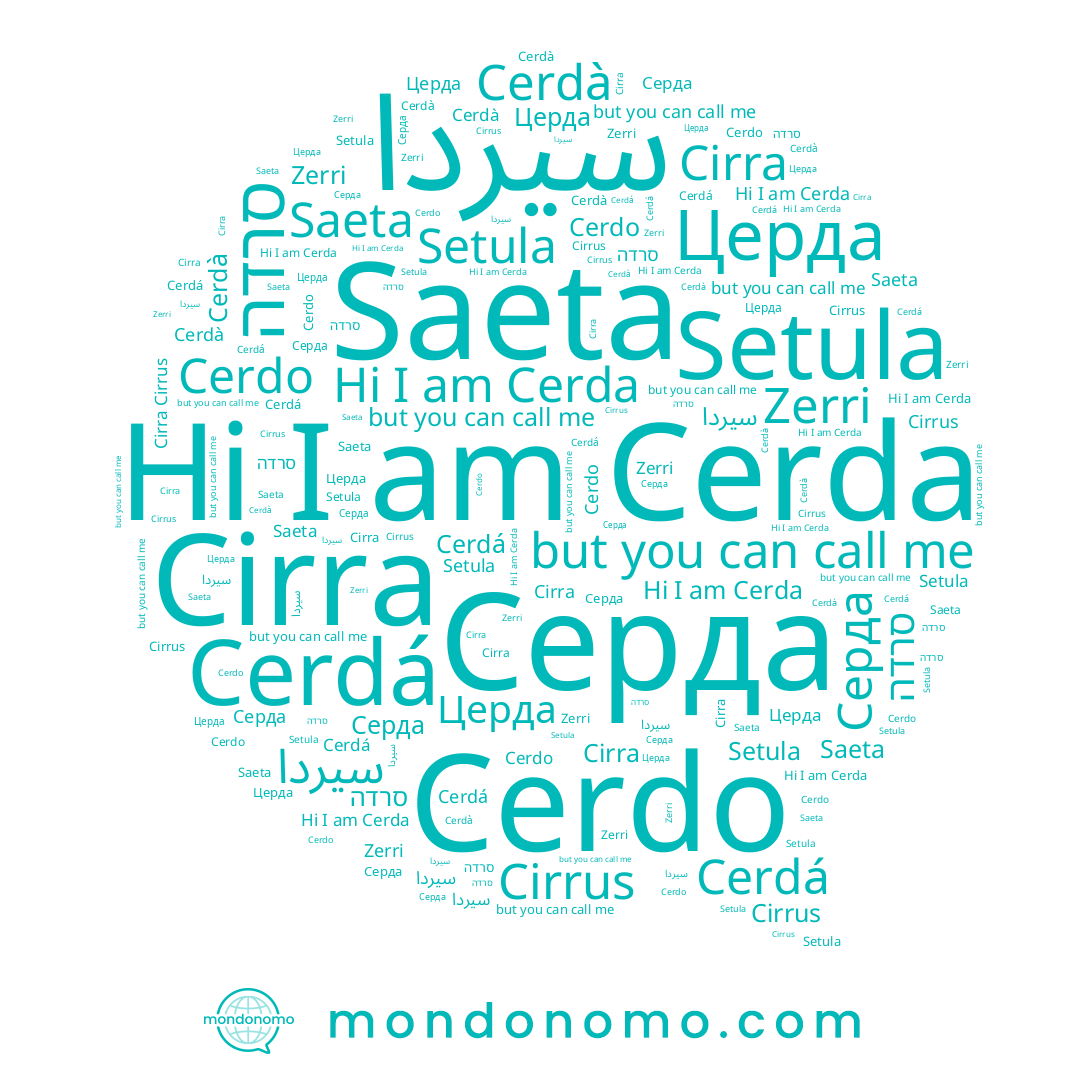 name Cerdá, name Saeta, name Серда, name Cerdo, name Cerda, name Церда, name Zerri, name سيردا, name Setula, name Cerdà